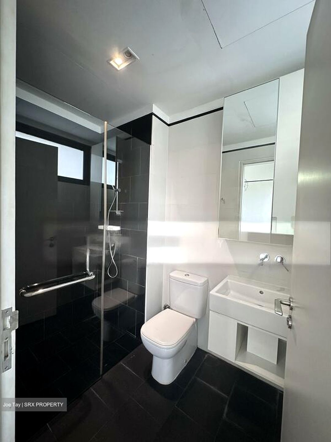 Village @ Pasir Panjang (D5), Condominium #502835421